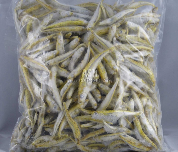 Stinte, kleine Fische (lose eingefroren) 500 g