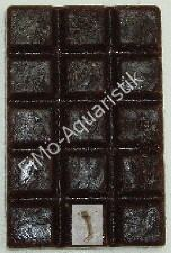 Rote Mückenlarve Jumbo 3 cm Schokotafel 100 g